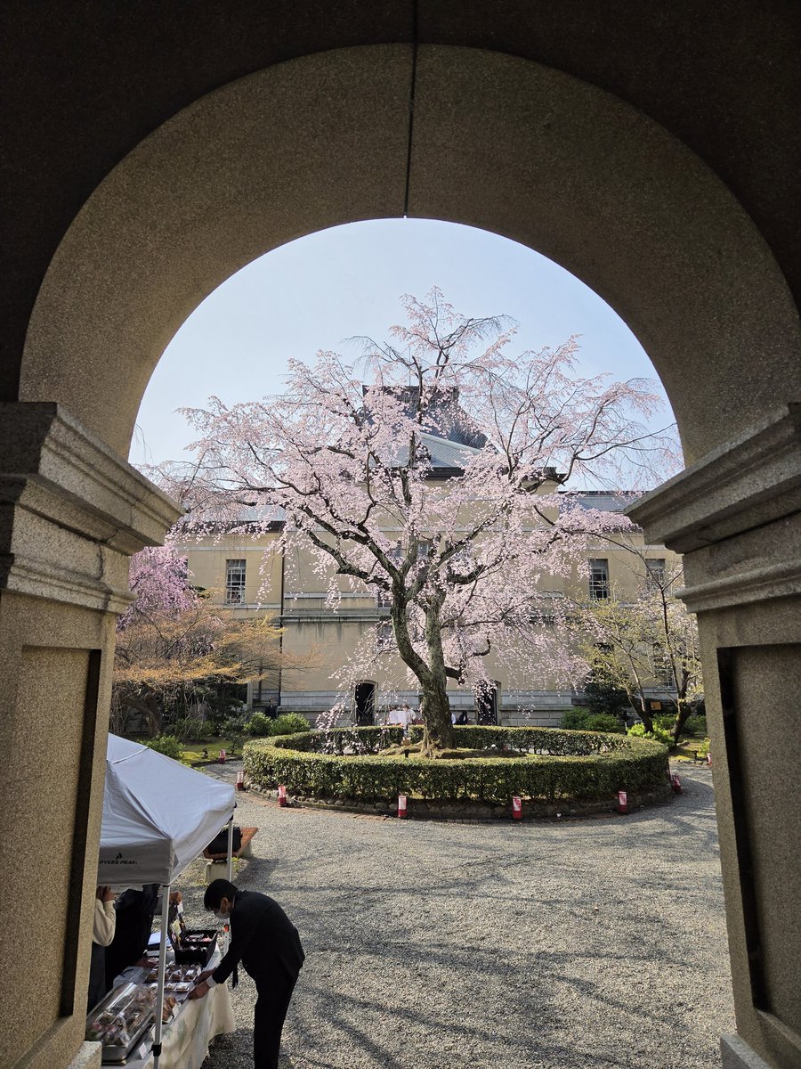 カティス tweet media