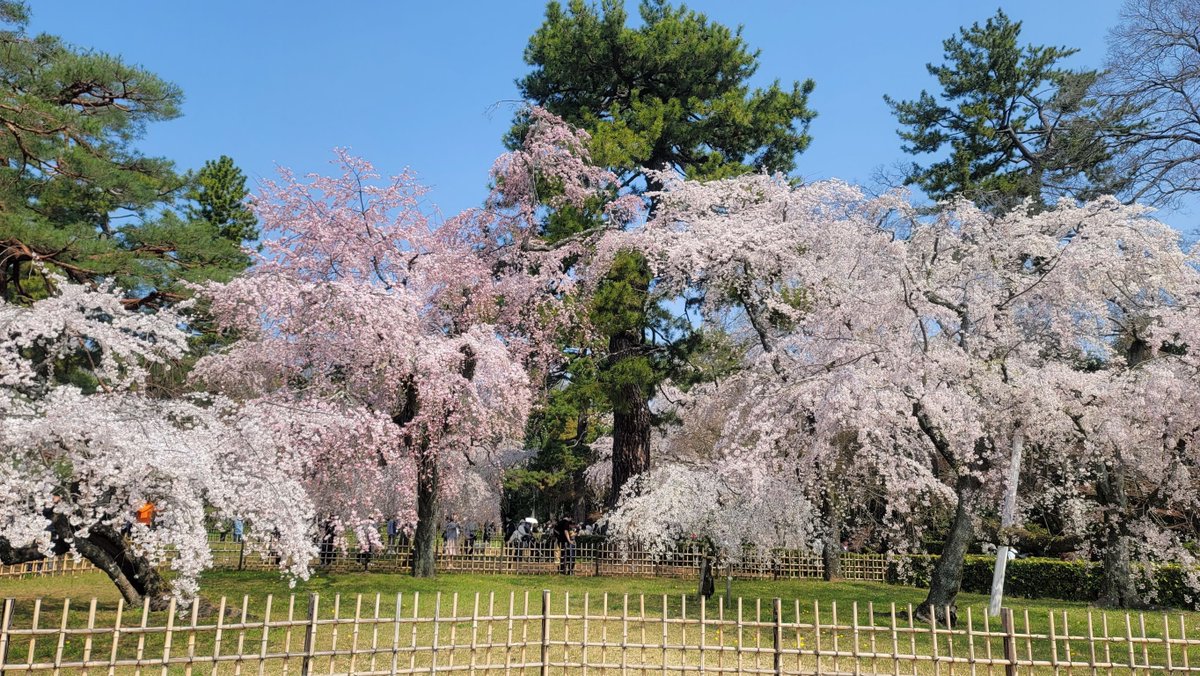 中村ゆか✑京都ライター tweet media