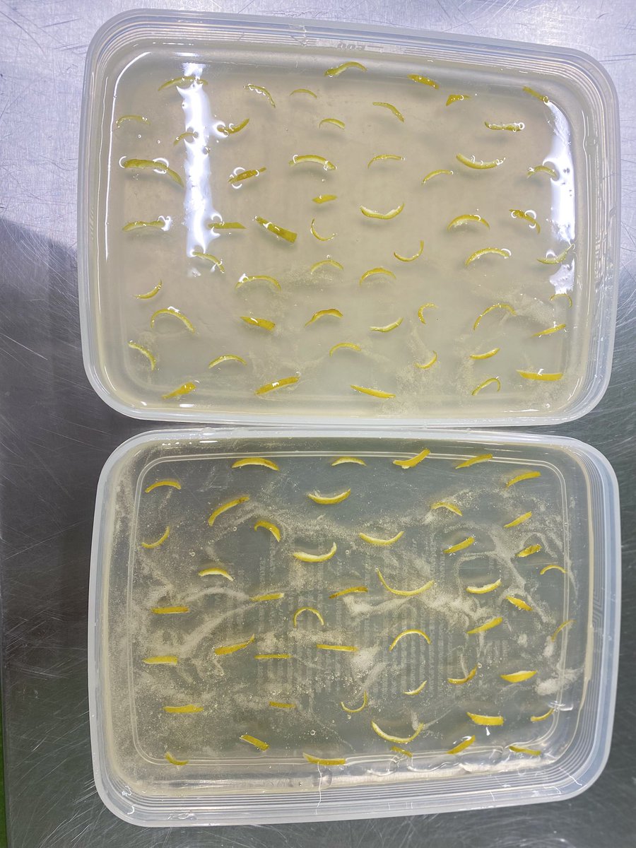 へちまる🧸🤎ྀི tweet media