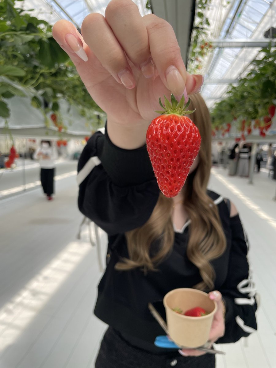 にゃぴ🐈‍⬛🎀 tweet media