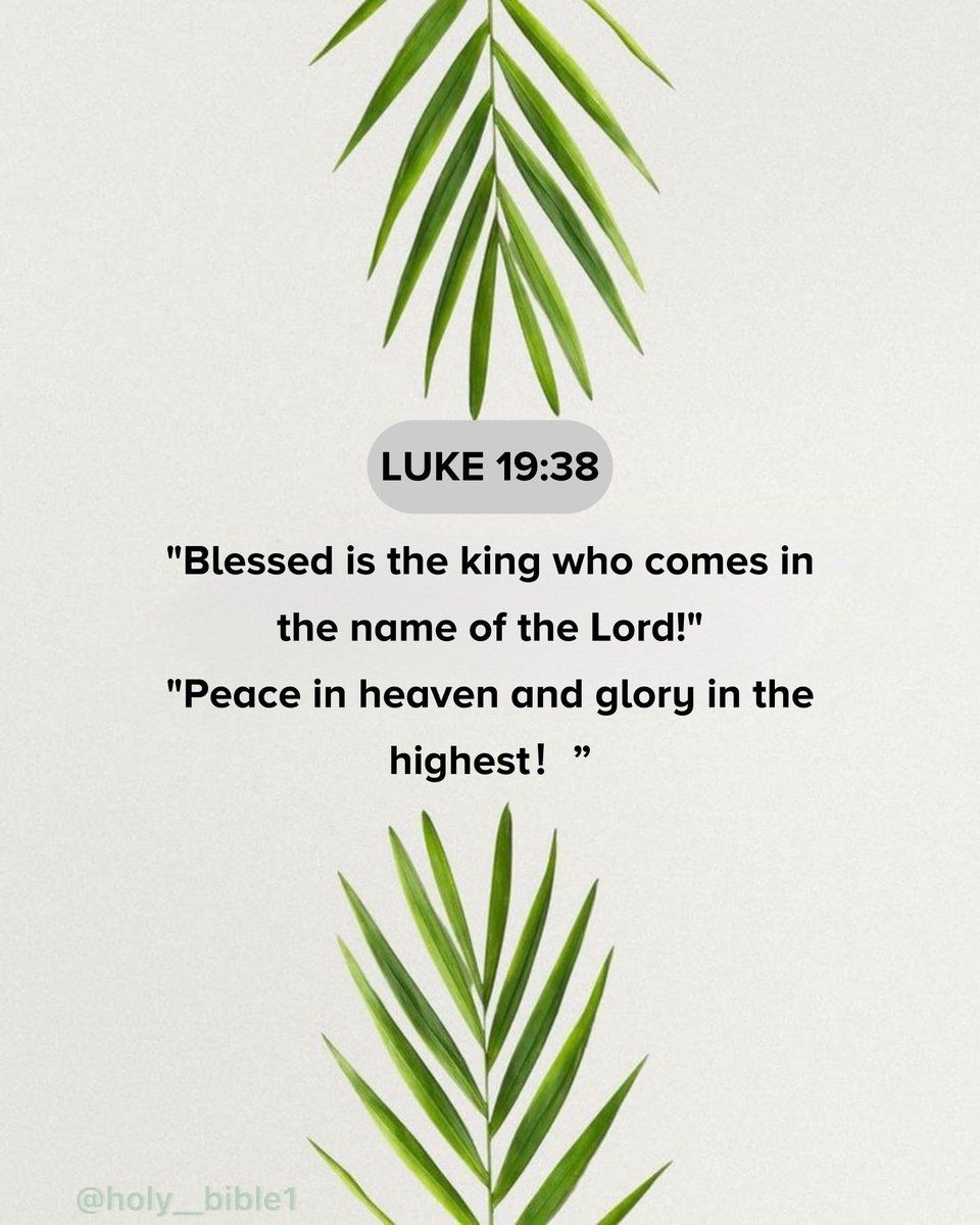 Holy Bible tweet media