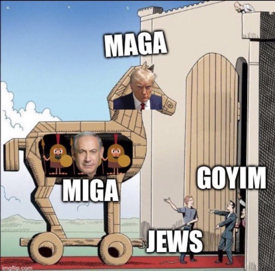 ProfessionalWildcard tweet media