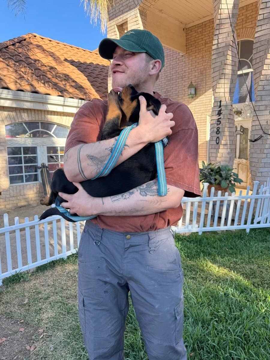 Elle ✨️ tweet media