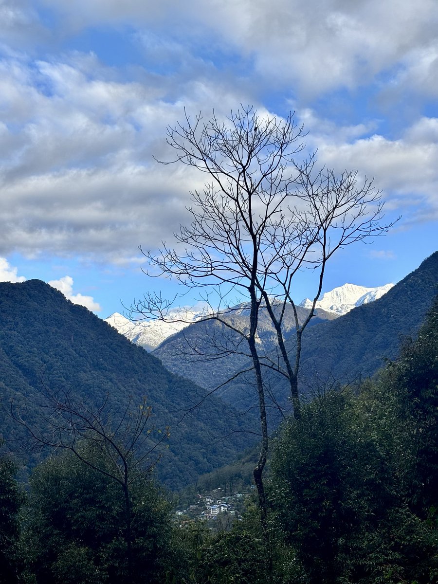 prasantnnaidu's tweet photo. ⛰️🚶♥️🙏

#yuksom https://t.co/s4rEcGaCwB