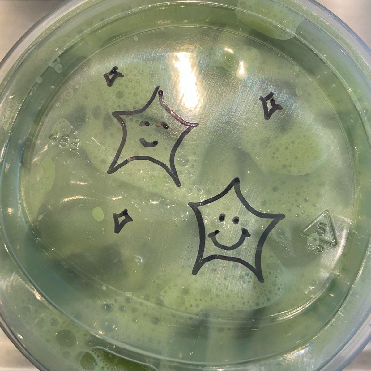 clover 🍀 tweet media