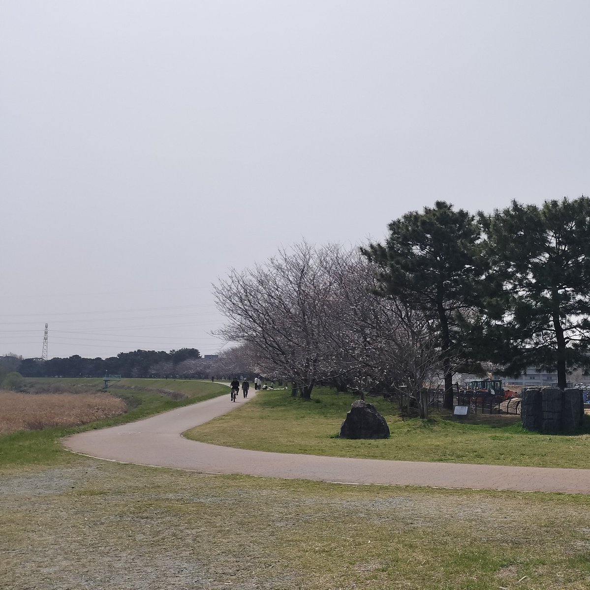 オーナイン@ボチボチイコカ tweet media