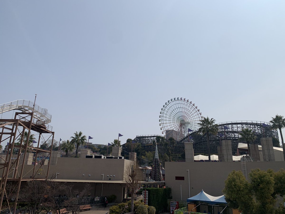 もふもふとり工房 tweet media