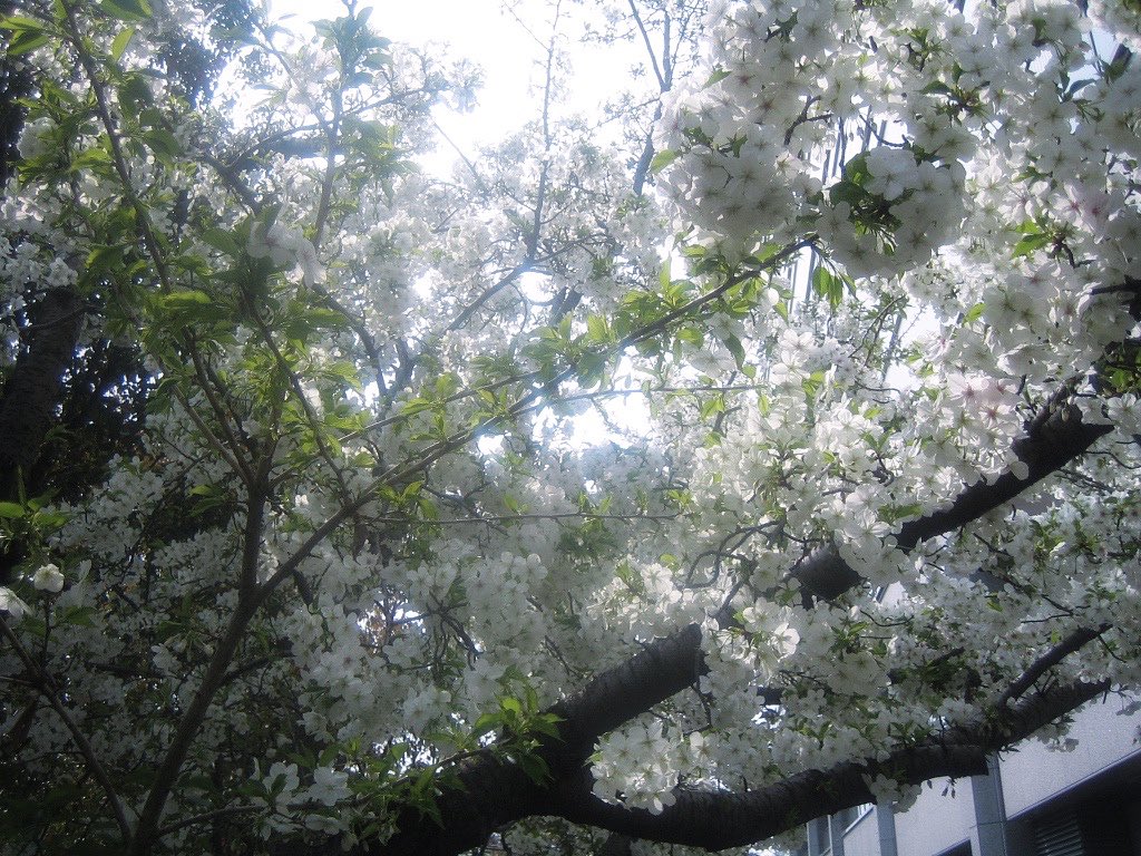 nagi𓅫⸒⸒ tweet media