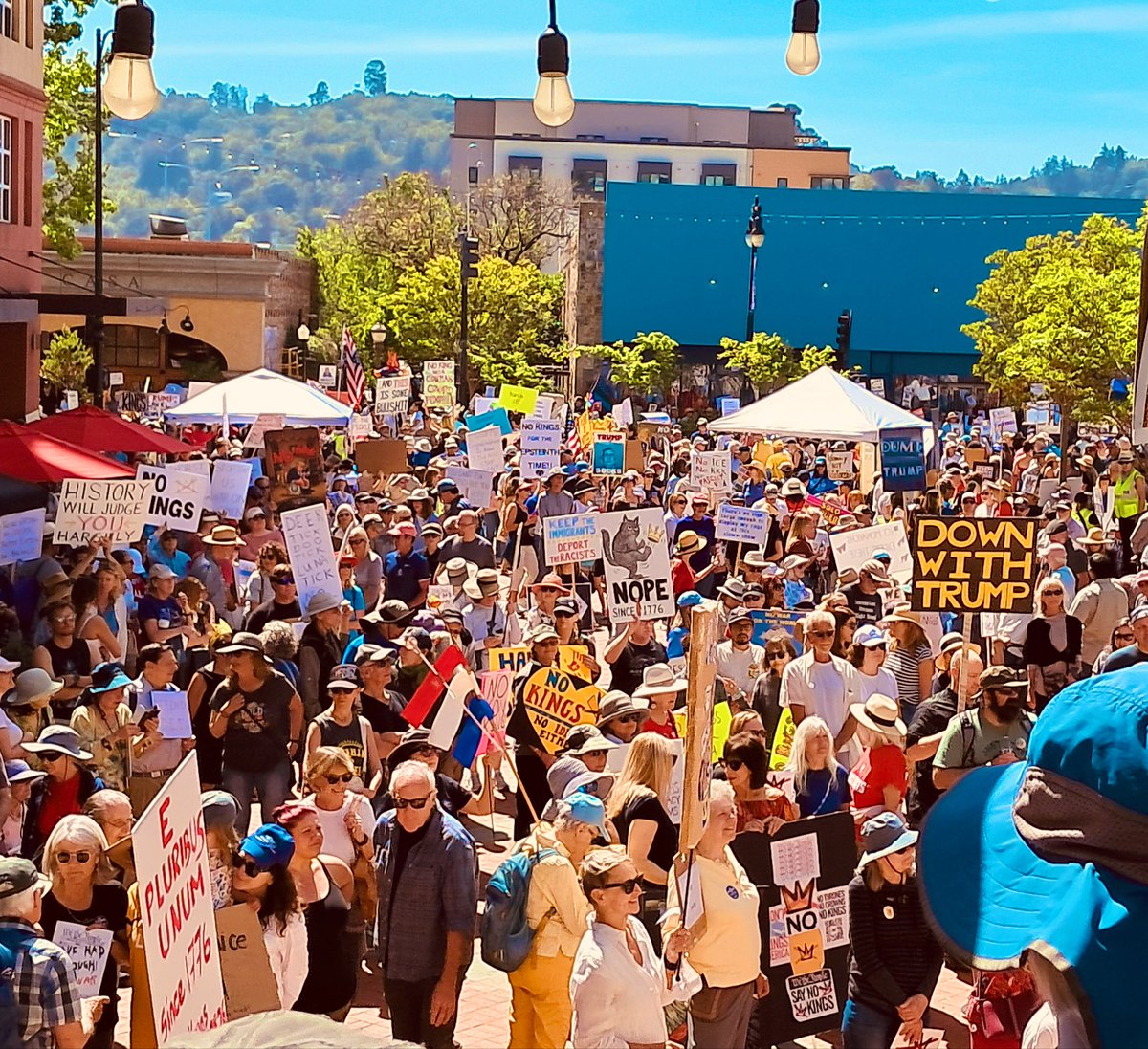 Marin DSA tweet media