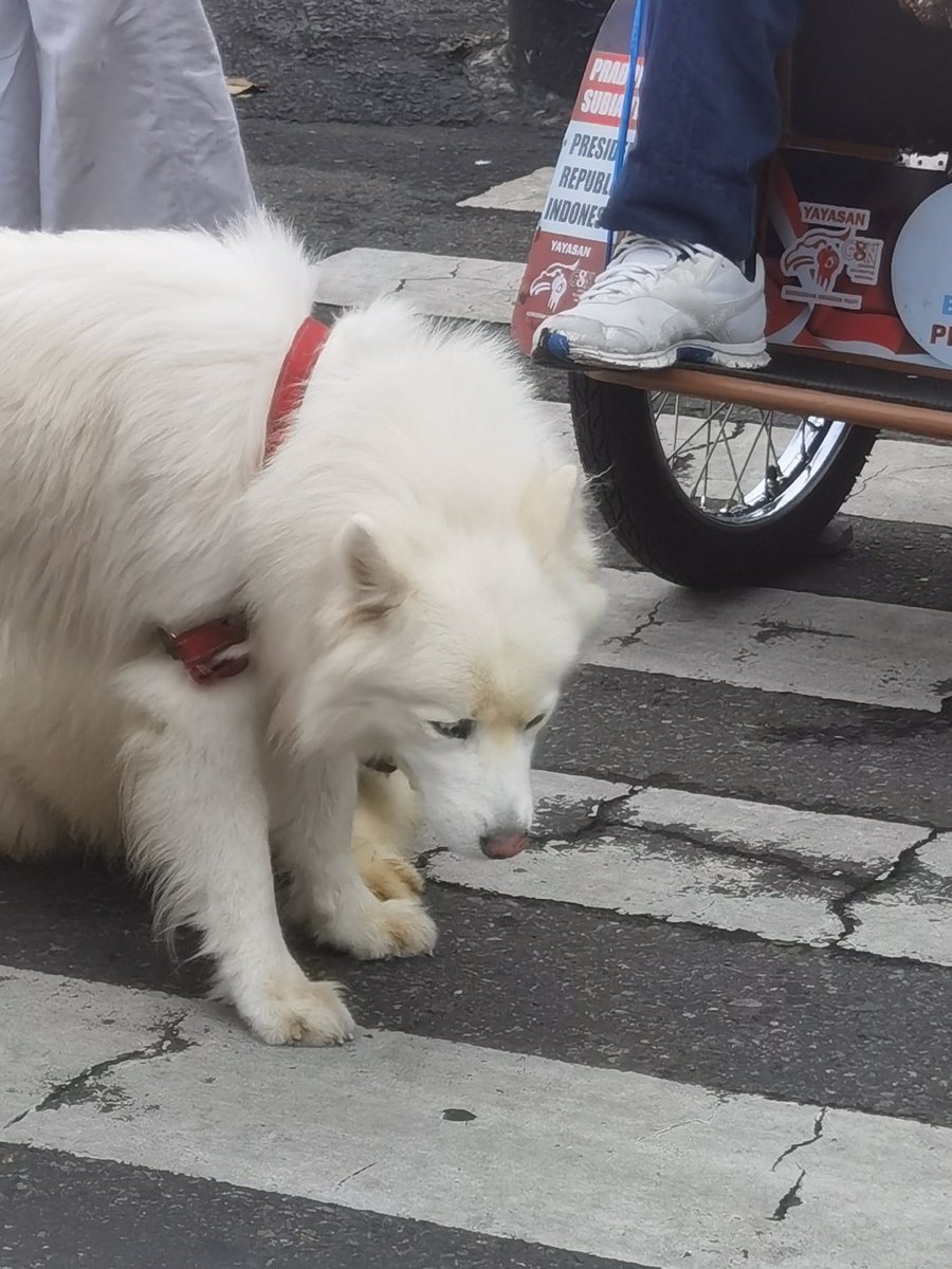 ³3 = 7.625.597.484.987 tweet media