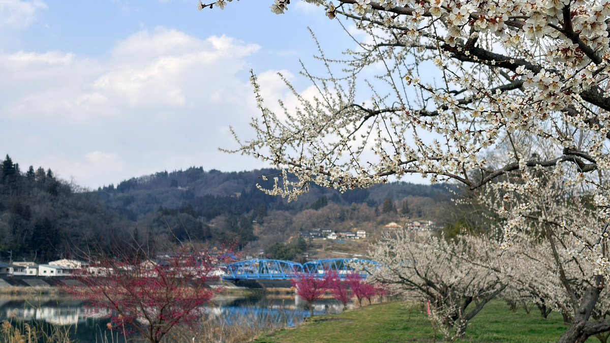 ながのぐ tweet media