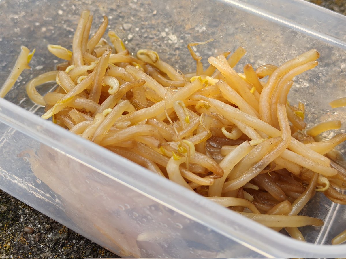 Yassy Mar＠ロードバイク文学 tweet media