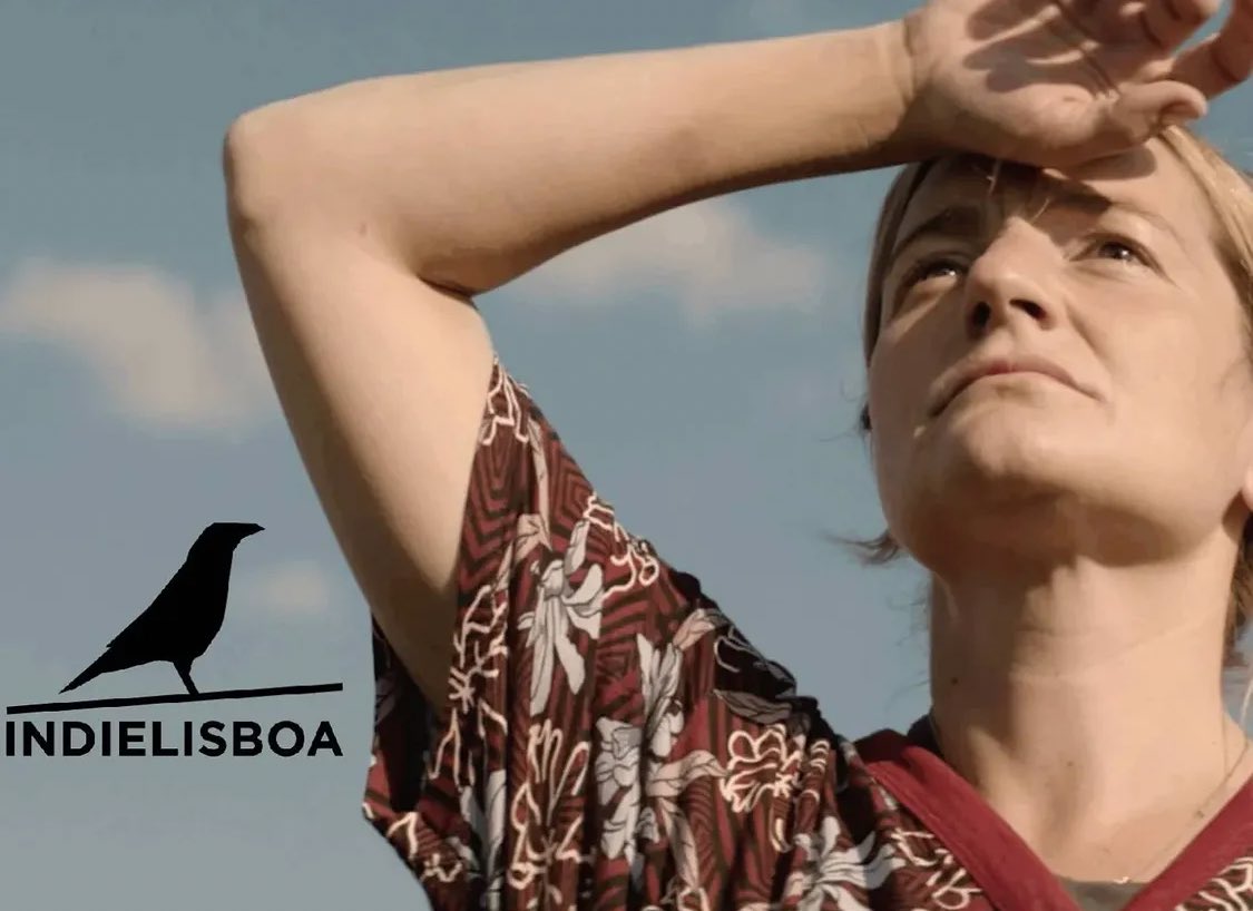 Sebastian Stan Archive tweet media