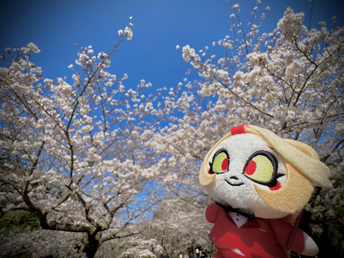 すもも tweet media