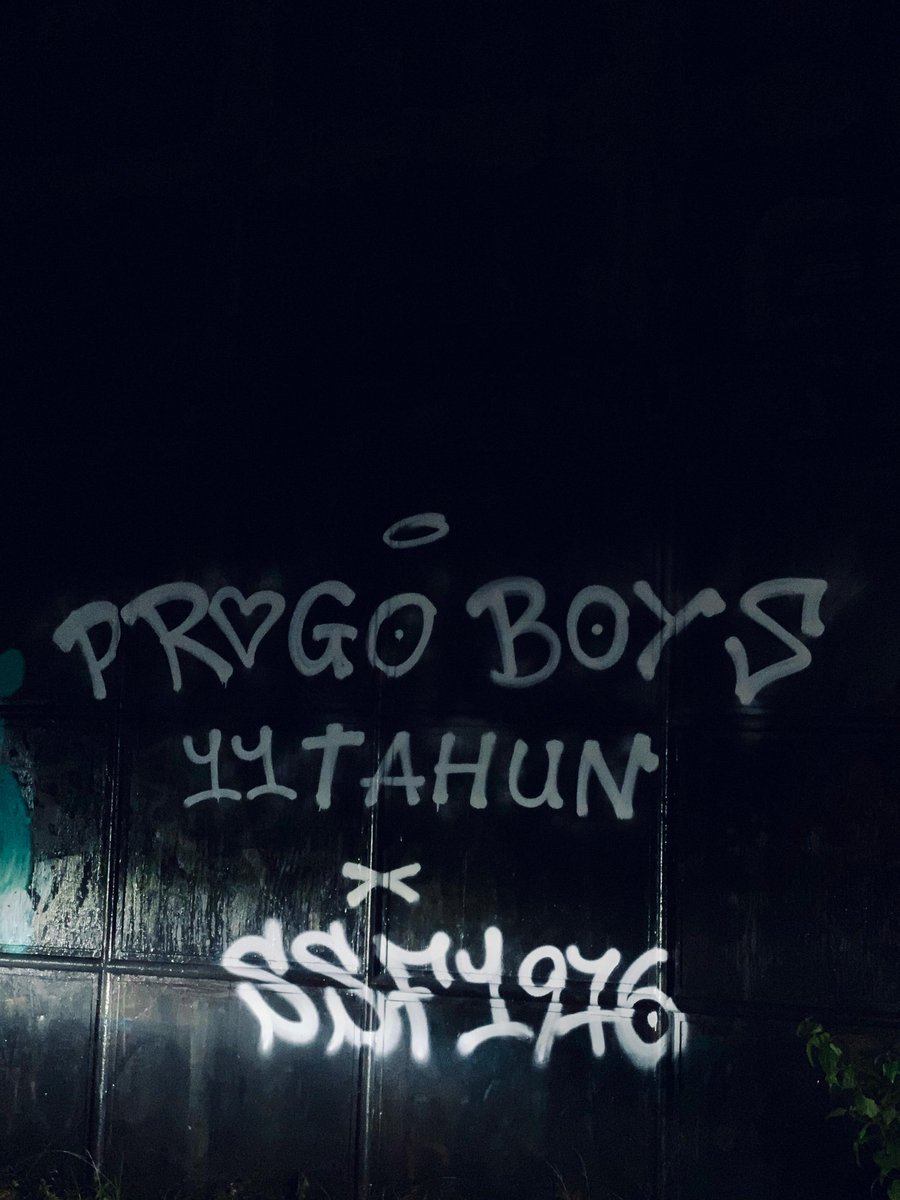 PROGOBOYS tweet media
