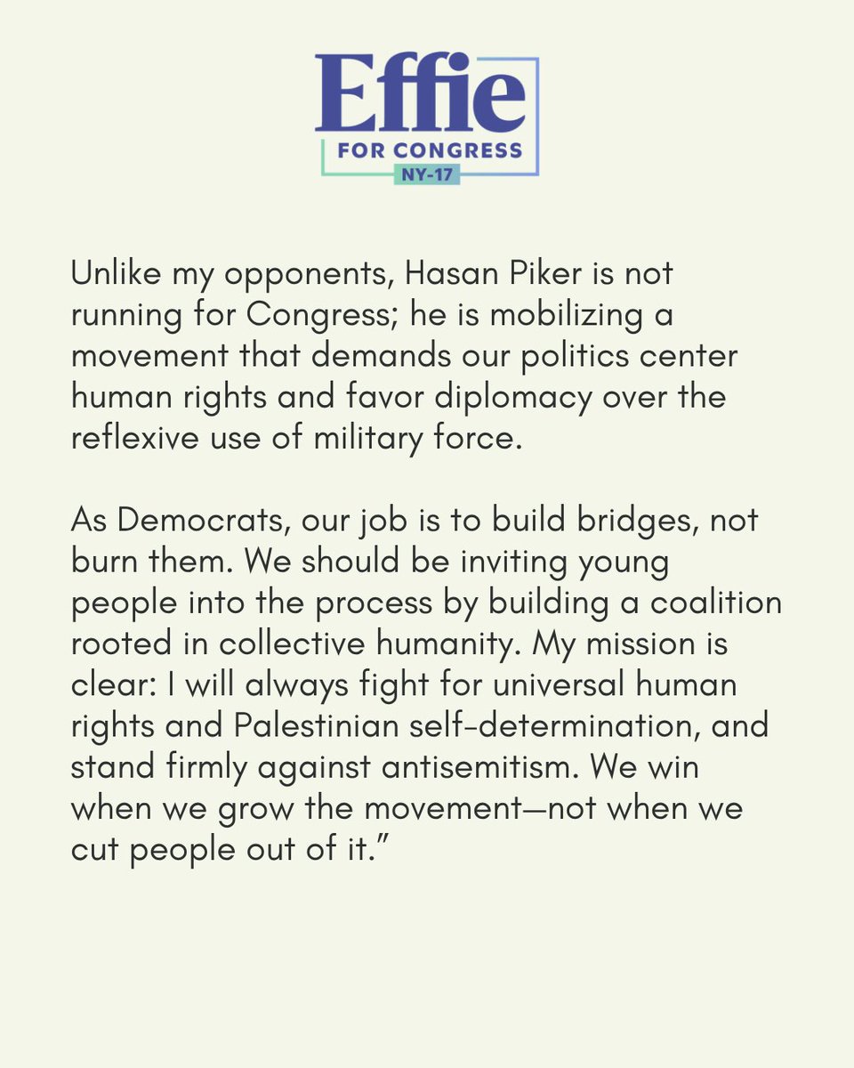 Effie for Congress NY17 tweet media