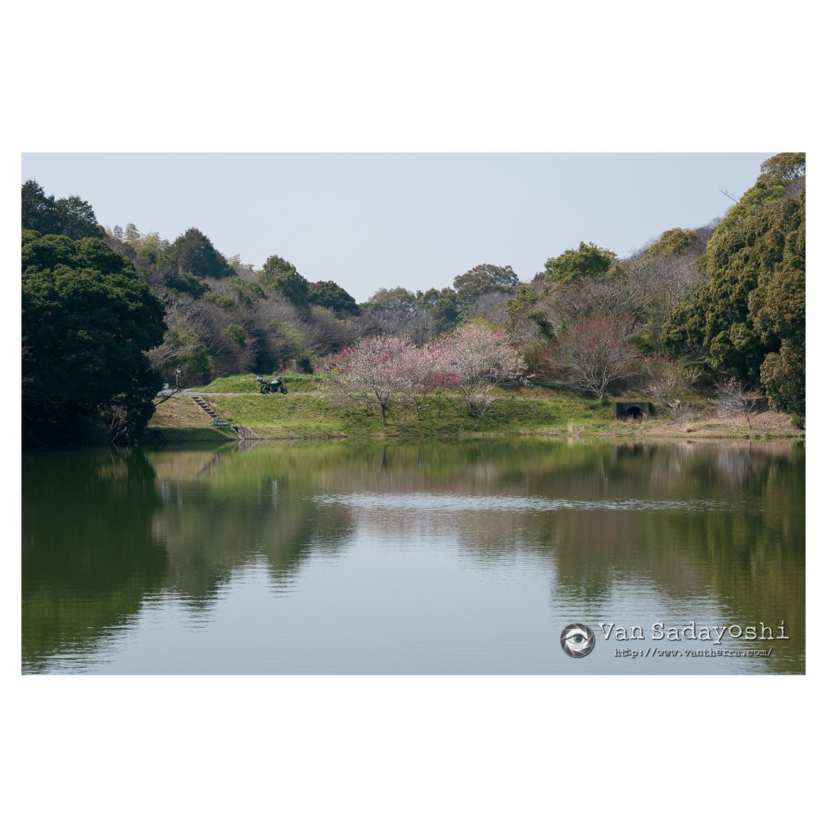 伴貞良写真日誌 tweet media