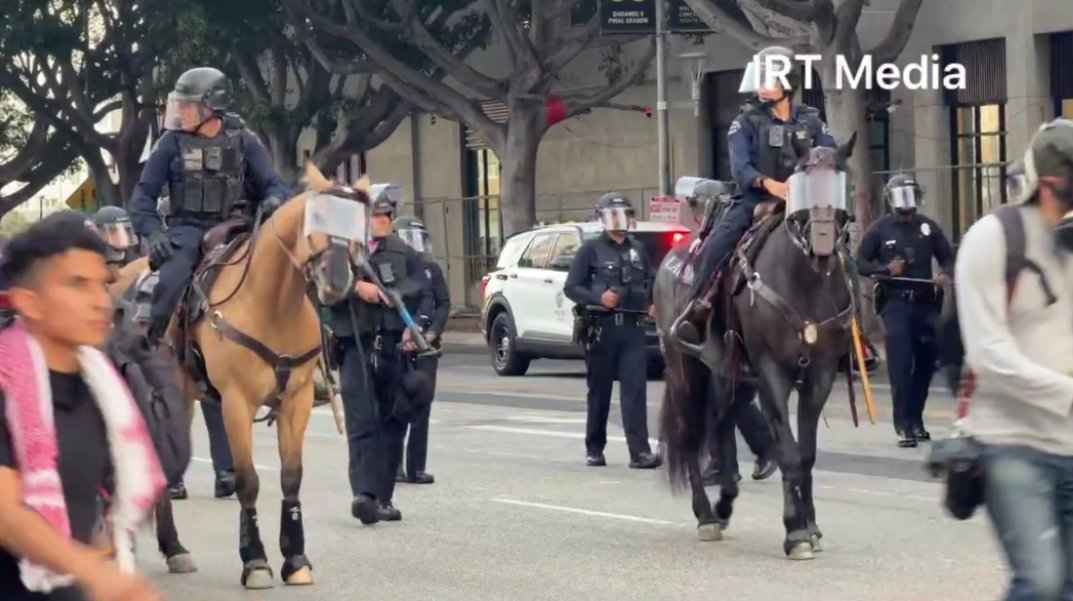 pseudosaxon tweet media