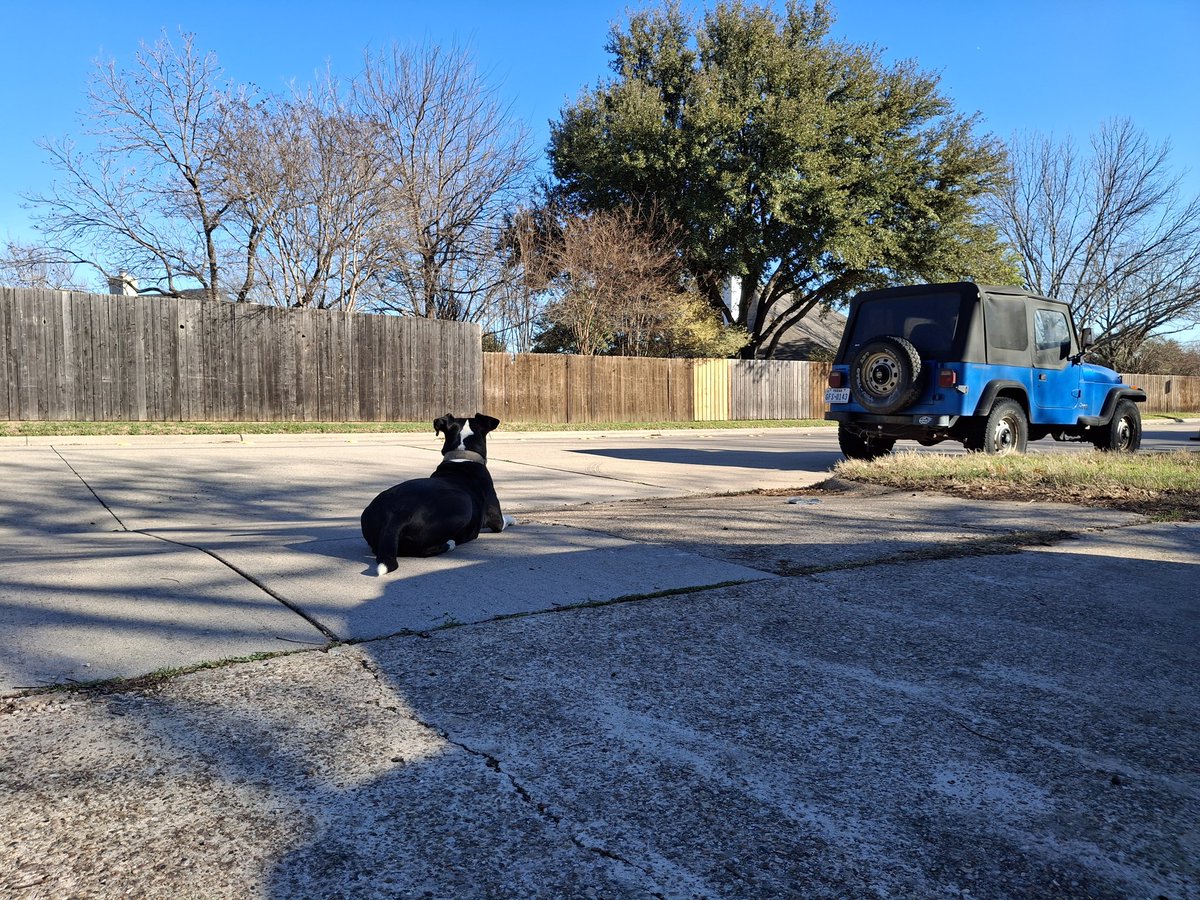 Johnny Hawes ✝️•🇺🇸 tweet media