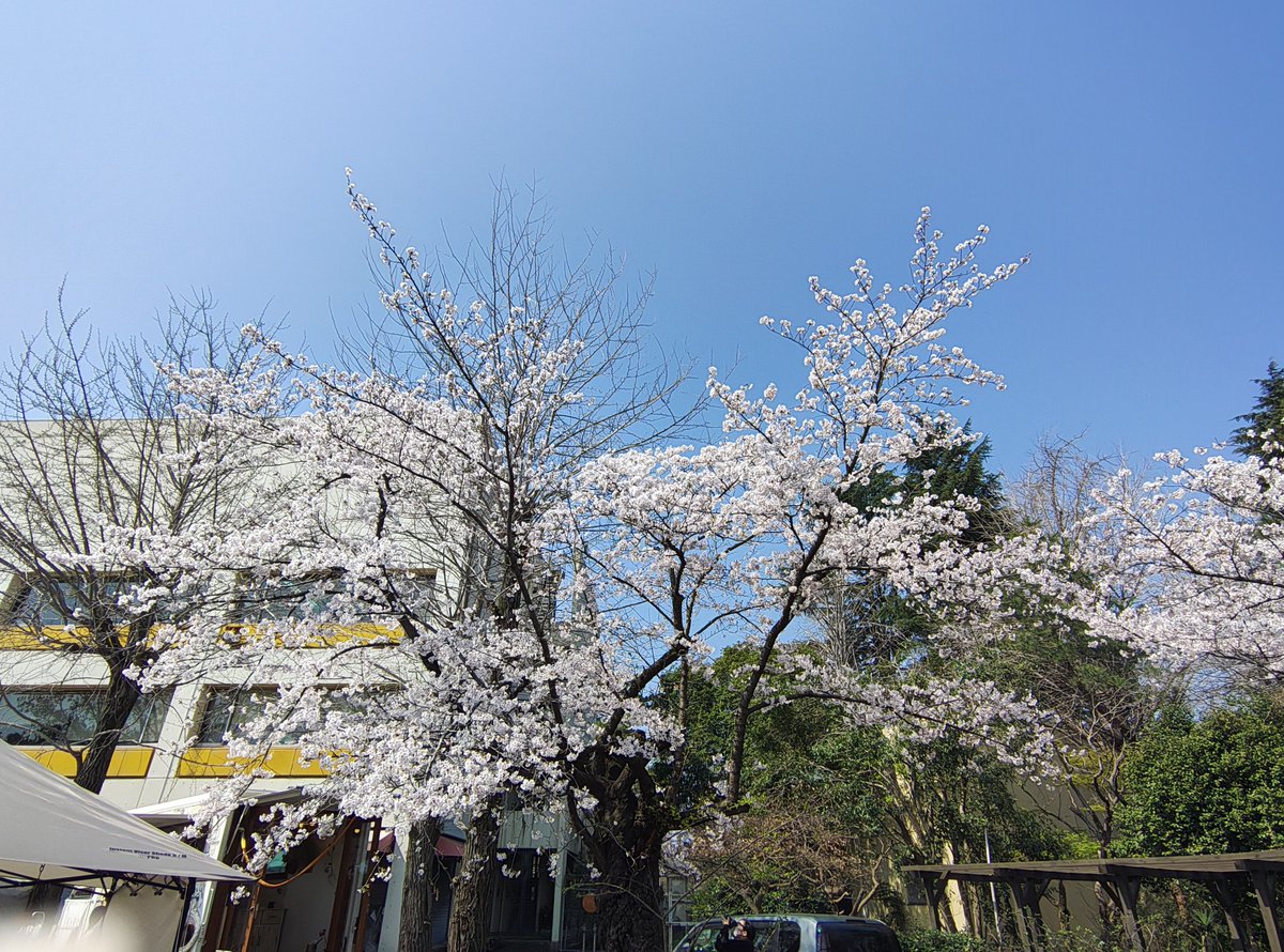 ゆー＆きー tweet media