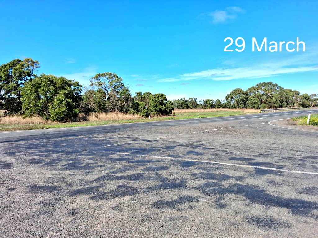 Agvocate_Au tweet media