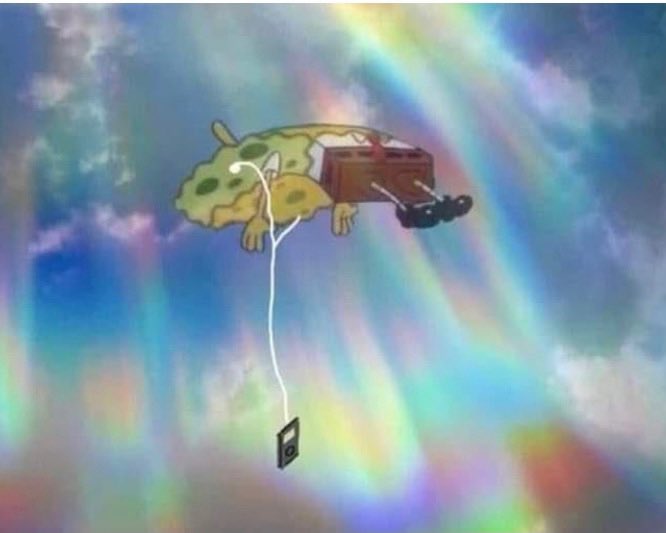 andrea en haashville tweet media