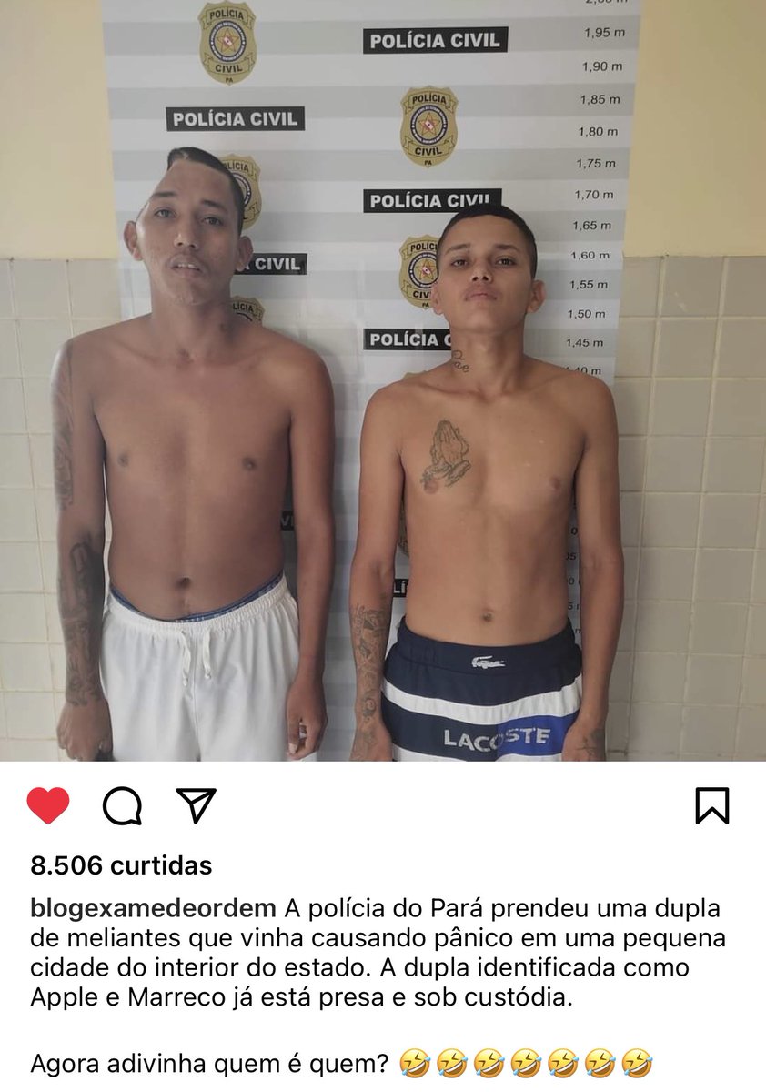 Bluestar (comissões abertas) tweet media