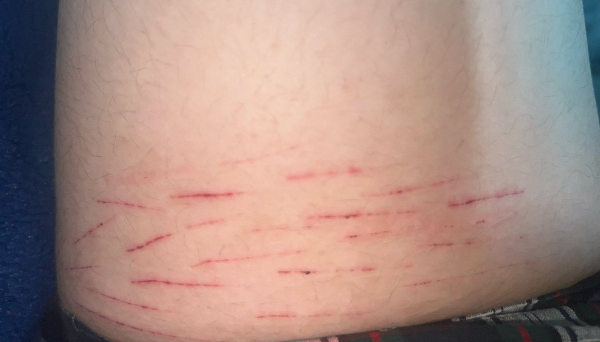 ᵎᵎ｡🧃𖦹°‧ Big McIntosh of shtwt ˚.🦴 ᵎᵎ tweet media