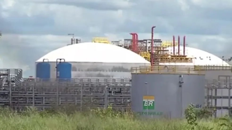 ✈️ Bruno Bernardo ✈️ tweet media