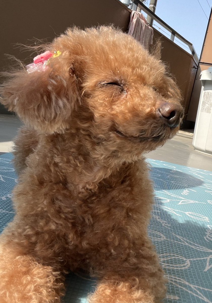 🌸2011.10.11（14歳5ヶ月） tweet media