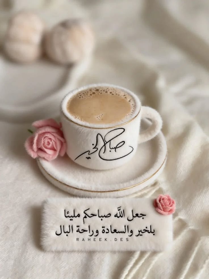 ✨️ YOUSIF ✨️ tweet media