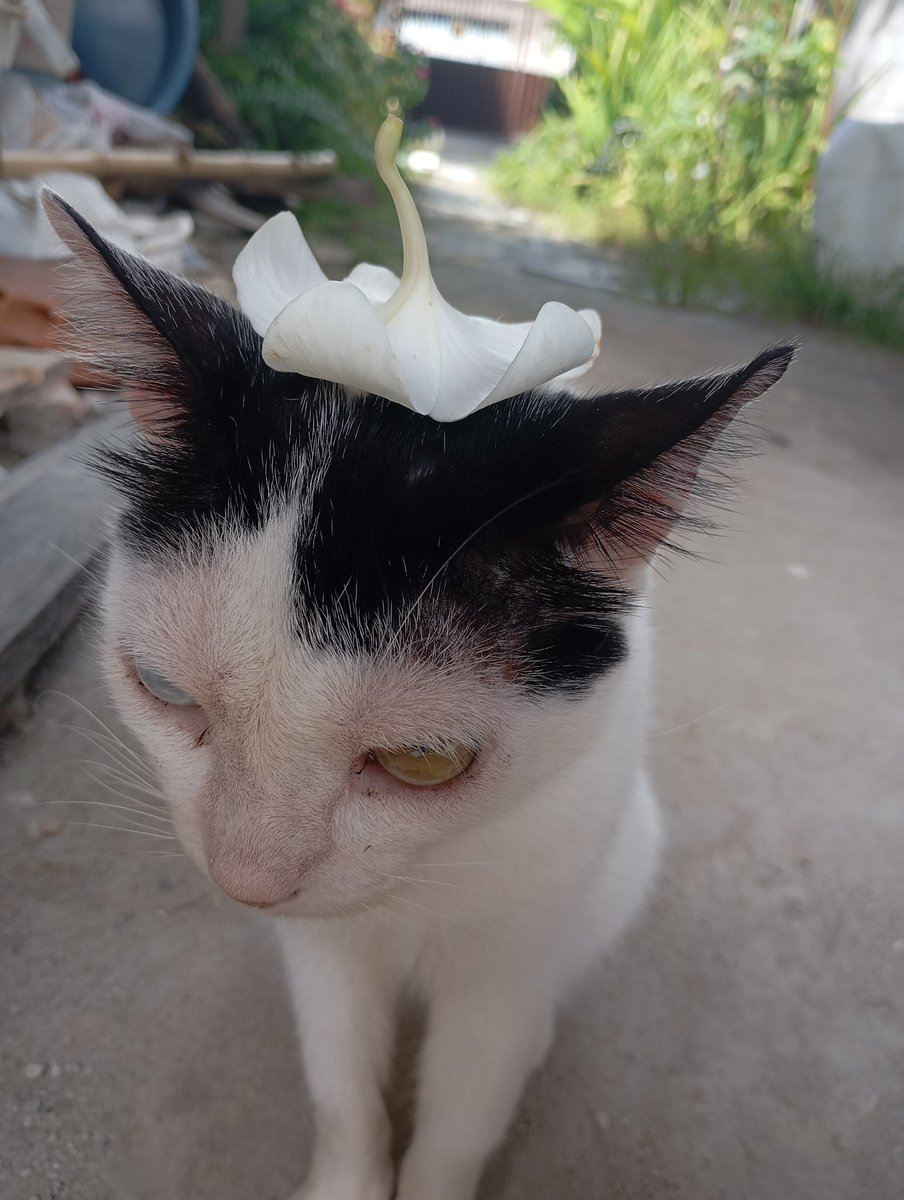 Mike.Nine tweet media