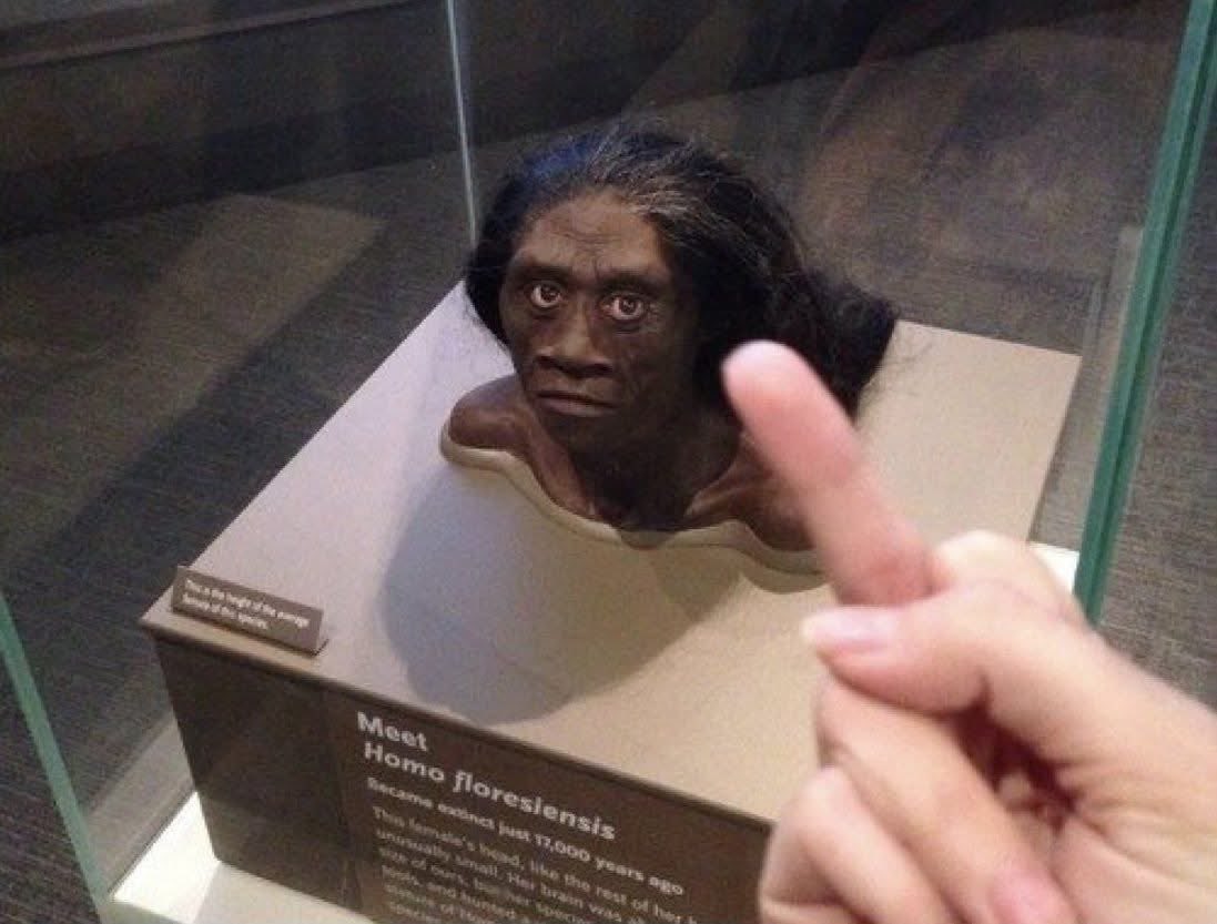 нσѕтιℓє✨нєѕѕιαη tweet media