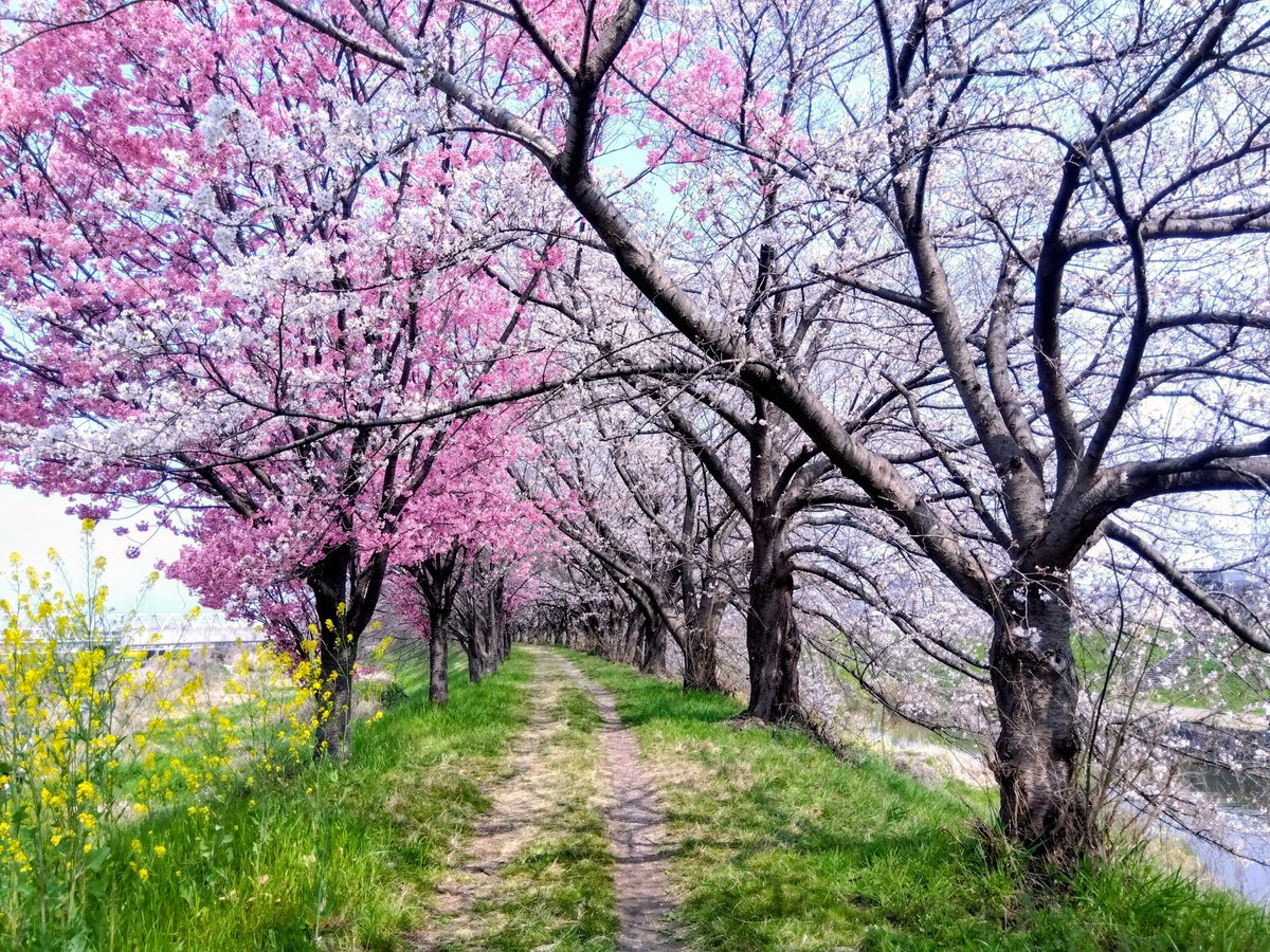 SALLOW@クラウドファンディング投資/FIRE済 tweet media