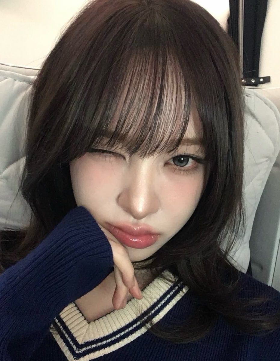 Little catto, tweet media