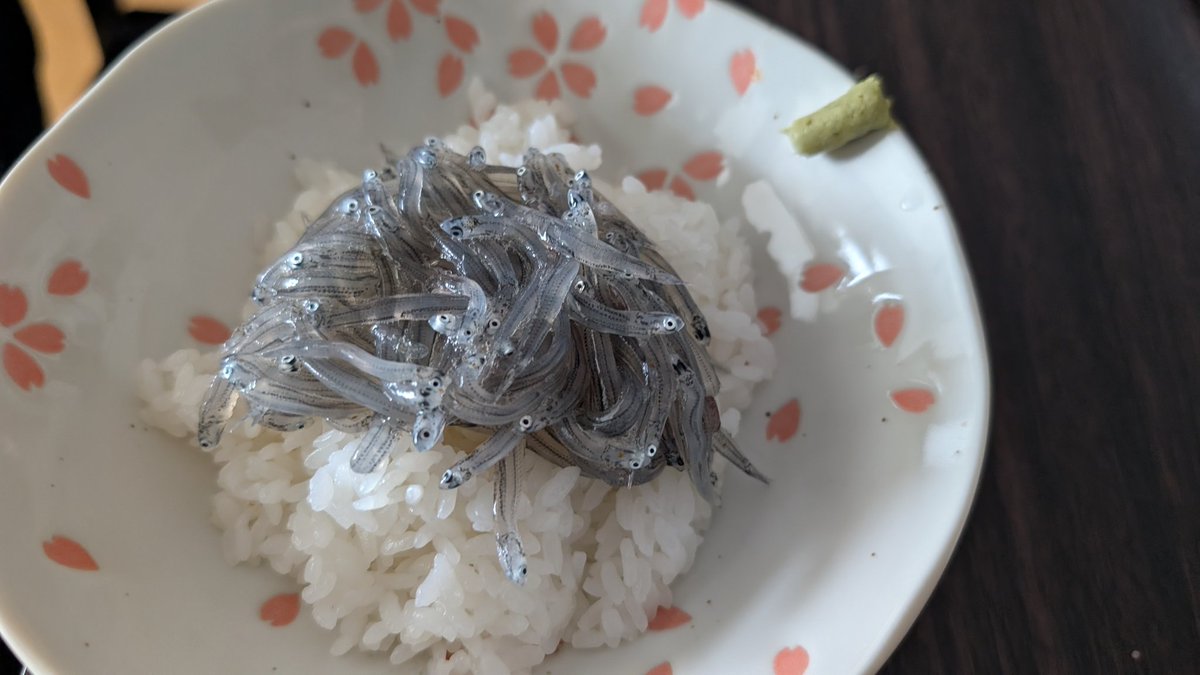 @海藻好きのダイバー tweet media