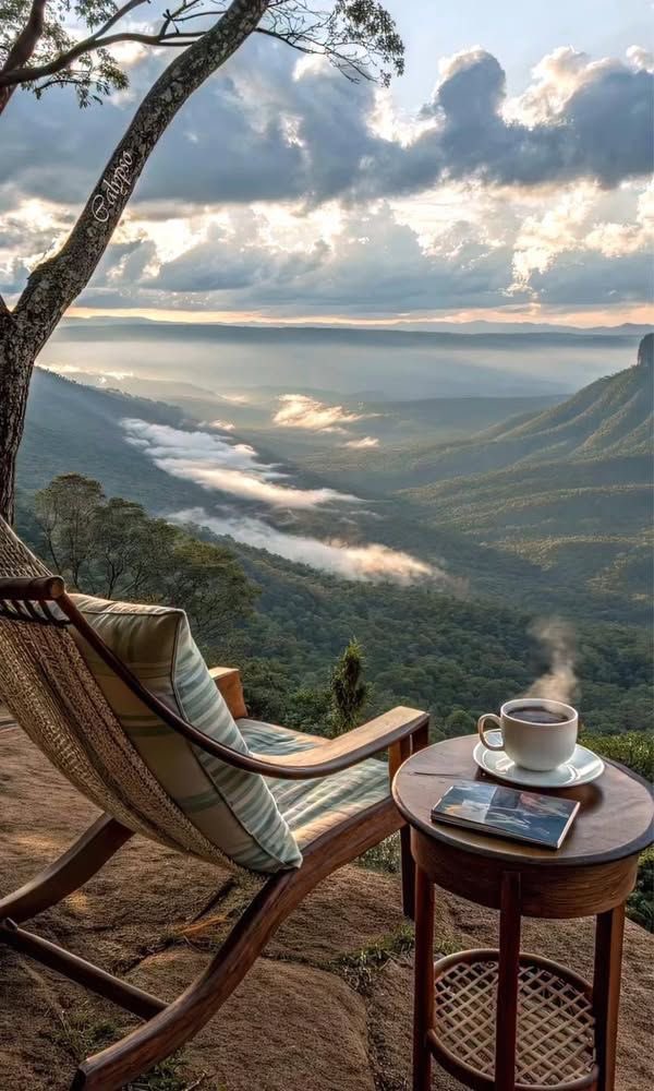 لحظة _نقية tweet media