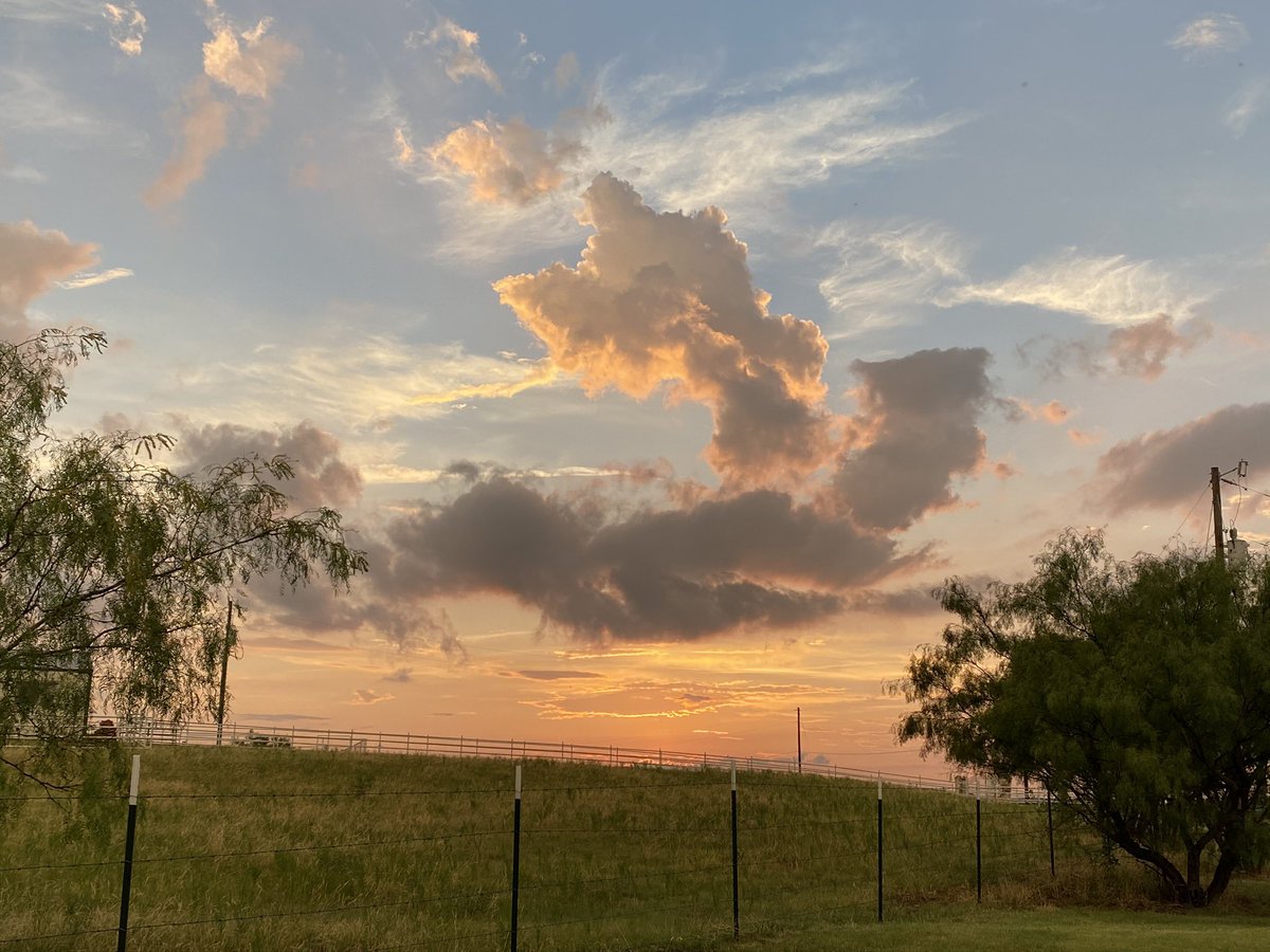 Eric Bricker, MD tweet media