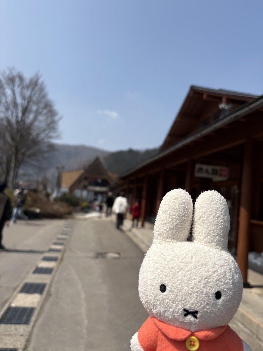 るに( '×' ).*❀ tweet media