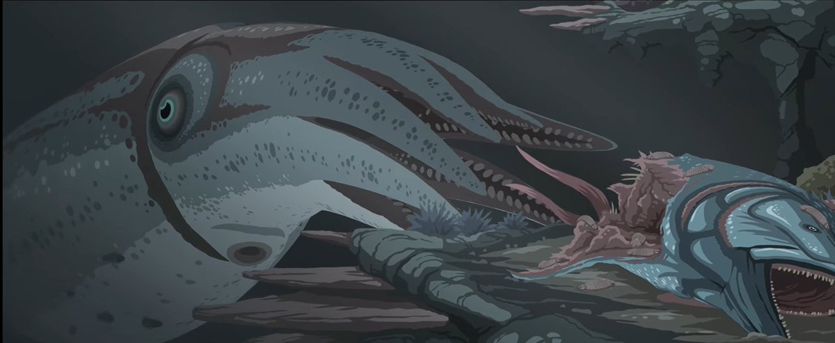 𓆝 Erza Istiophoriformes 🦚🧟‍♀️🍂🐿🔮🎨 tweet media