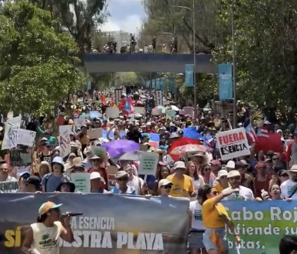 NoelSegovia tweet media