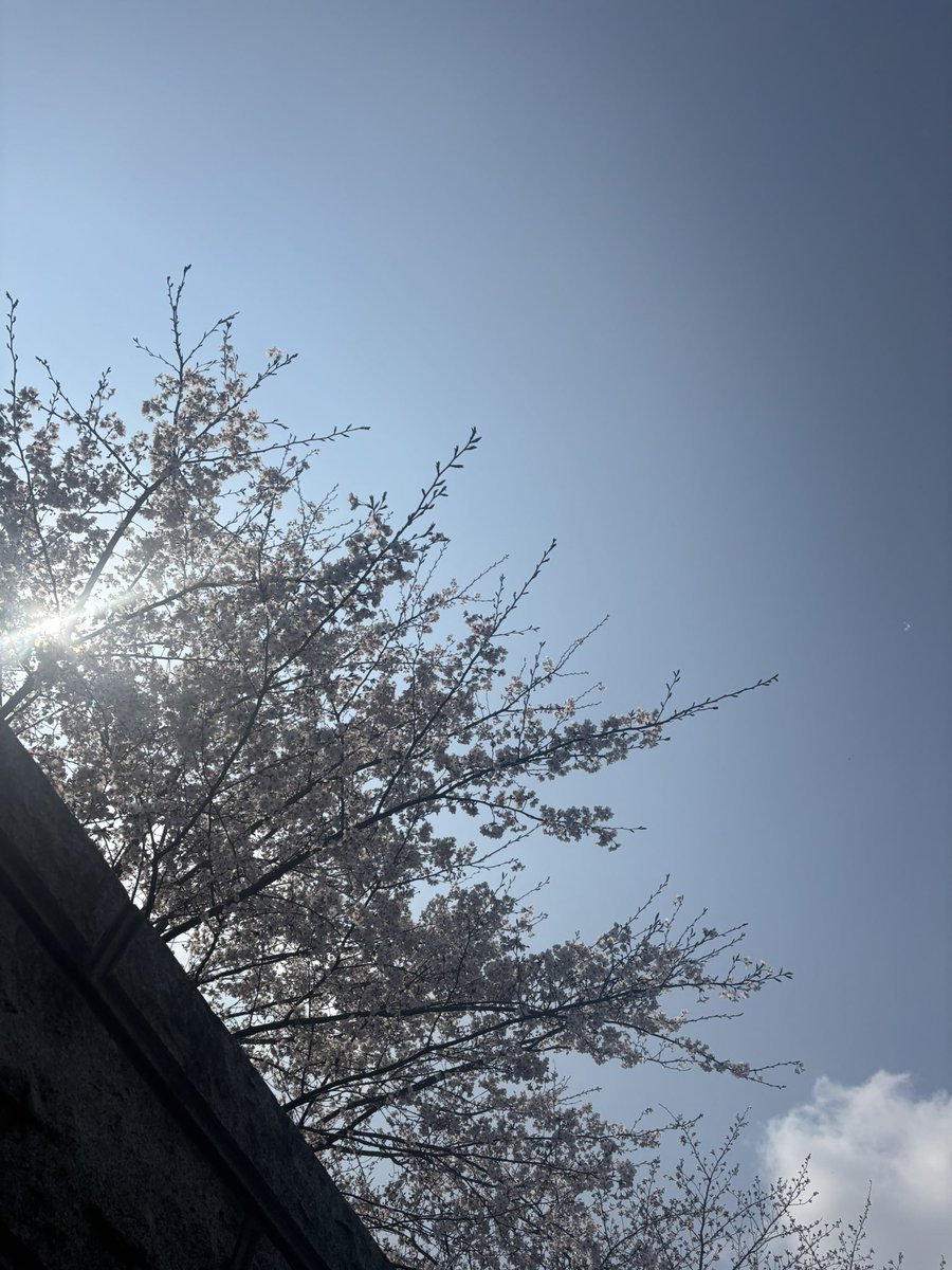 えら呼吸ダイエット|にじそせ-16 tweet media