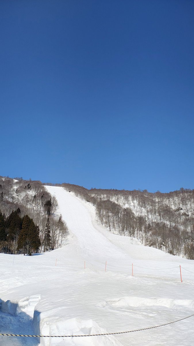 下の北のカモシカ tweet media