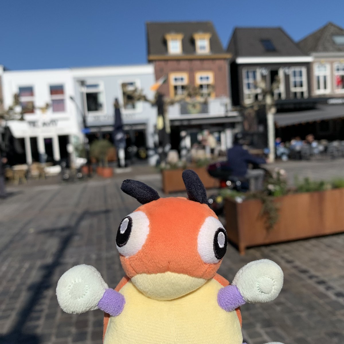 Ladybugs are beetles. I like The Beatles. Am I a Beatle? Paul McCartney is my favourite Beatle. :3

#Pokemon #Ledyba #Rediba #レディバ #ポケモン #ポケぬい #Boxtel
