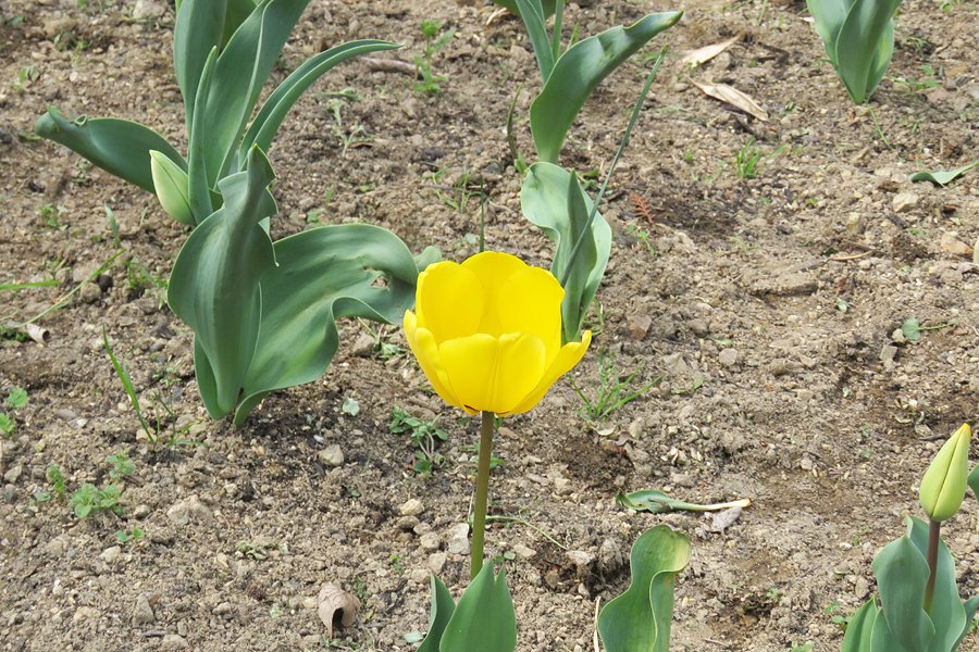 JR5EPQ”SHO” tweet media