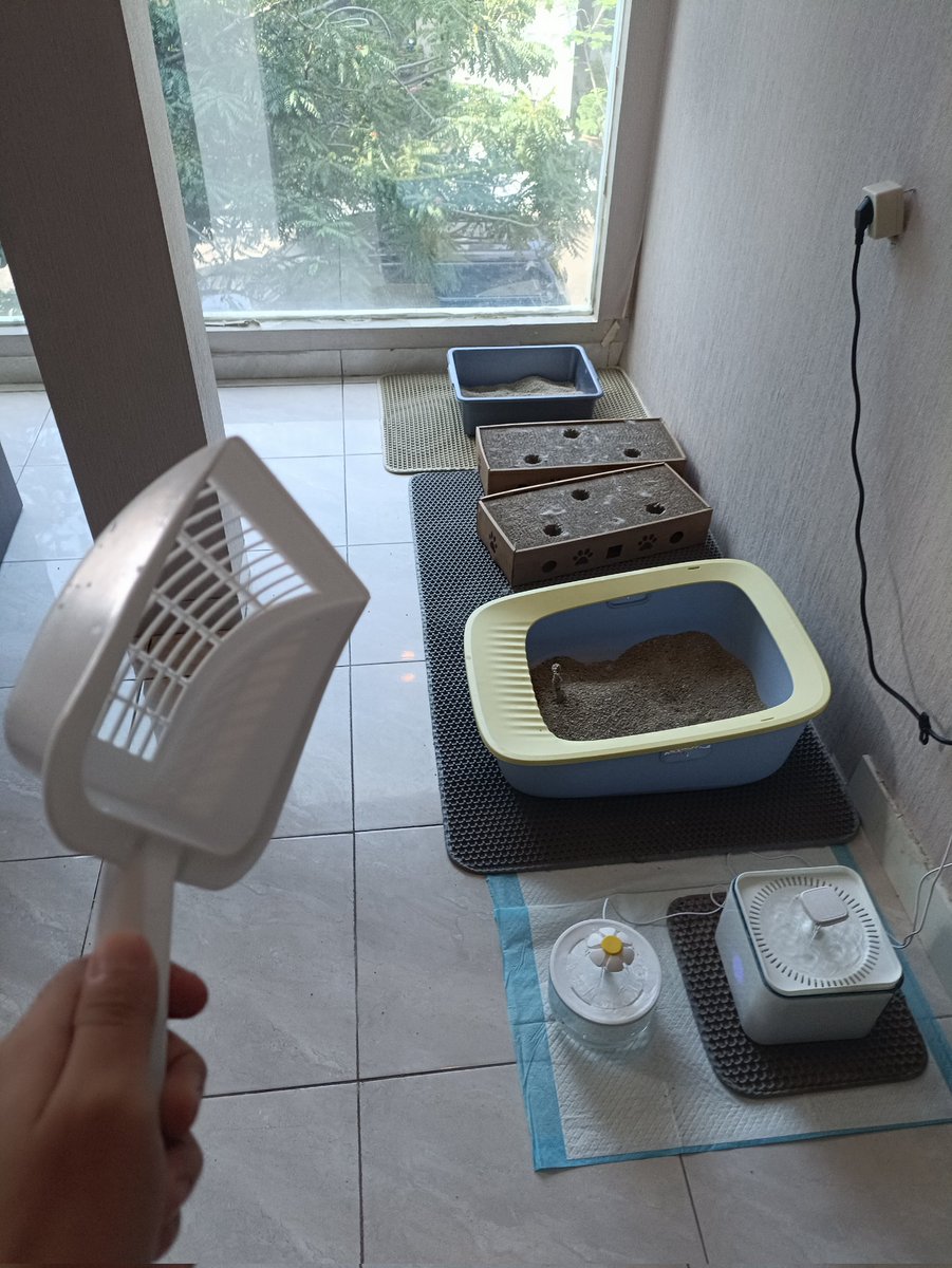 Stephen 「COMMISSIONS OPEN」 tweet media