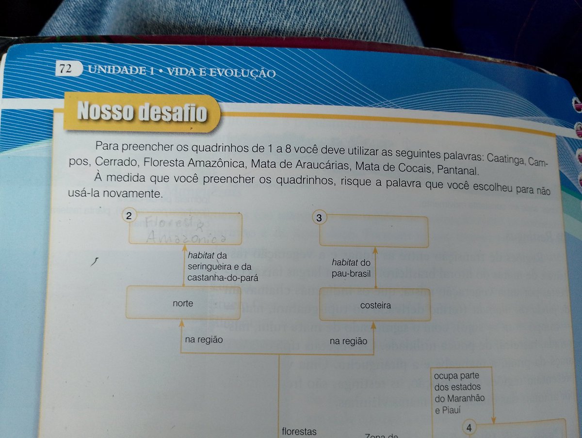 Ray #MOONRIZE tweet media