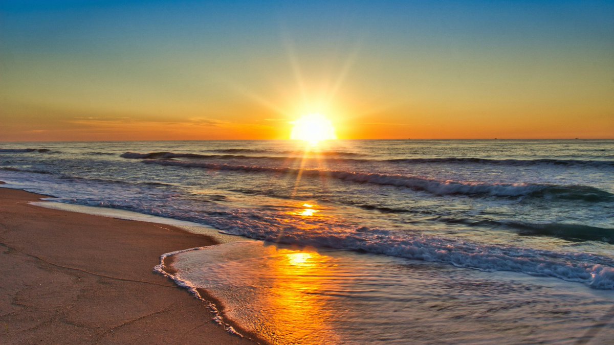 Elena 🇺🇸 tweet media