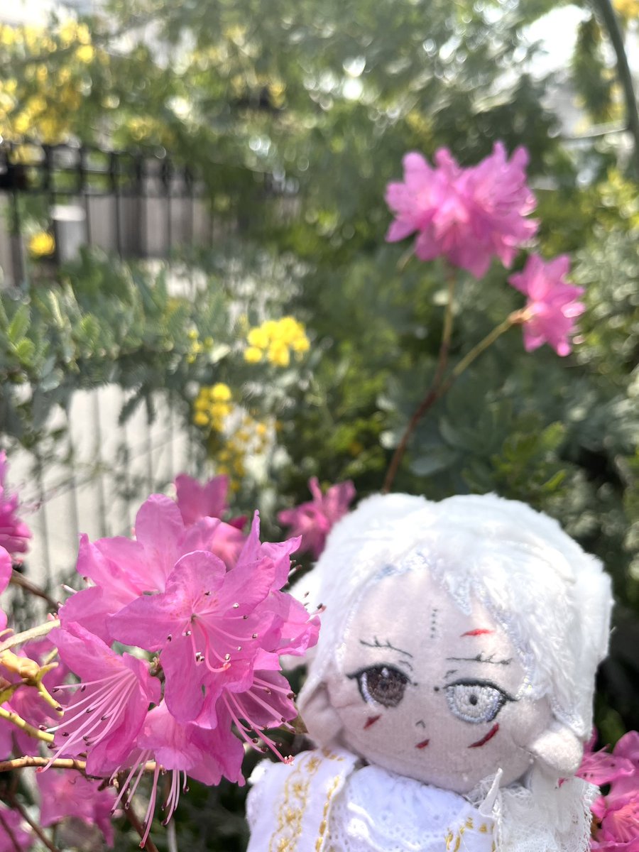 いつか tweet media