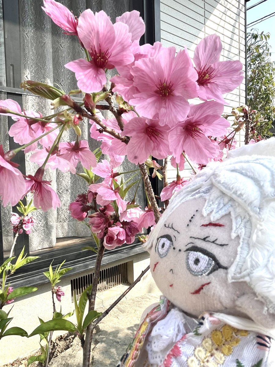 いつか tweet media